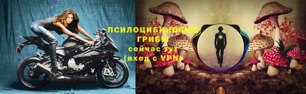 a pvp Алзамай